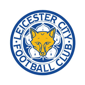 new-ground-technology-clients-LEICESTER-CITY