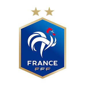 new-ground-technology-clients-france-FFF